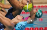natation qualif 2017