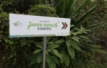 jardins partagés à sans souci