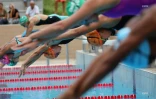 meeting natation 2017