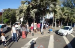Kélonia : longues files d'attente à cause des restrictions sanitaires