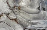 Grand froid et gelées sur La Réunion