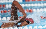 Natation 
