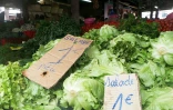 Petit marché de Saint-Denis