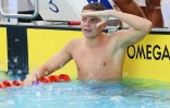 championnat de la réunion natation 