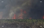 Feu de cannes à Sainte-Suzanne 31 août 2016