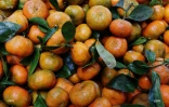 Fruits et légumes