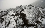 neige 2006