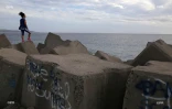 Attaque de requin au Port
