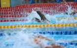 Meeting natation 2015