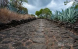 chemin pavé Bellemene
