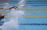 Championnats Natation Plateau Caillou
