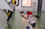 Canne de combat