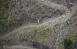 Grand raid