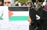 Manifestion palestine