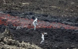 volcan février  2019