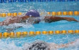 meeting natation 2015