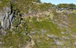 Grand raid 2026