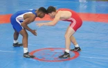 Championnats de France de lutte libre