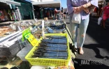 braderie de l'Océan indien 2026