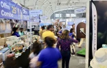 salon de la maison 2024