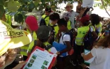 Kélonia - initiation des enfants à la reconnaissance des espèces végétales littorales