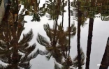 Fortes pluies