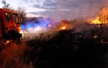 feu à Bois Blanc