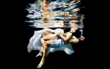Photographies sous l'eau Charlotte Boiron photographe passionnée