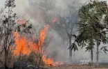 Incendie au Port