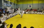 Teddy Riner judo