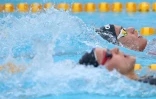 meeting natation 2015