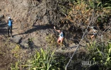 Diagonale des fous