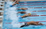 Natation