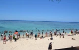 Rend a Nou la Mer manifestation 11 décembre 2016