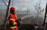 Dash 8 pour Feu de broussailles à Savannah Saint-Paul