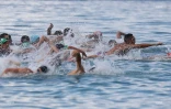 meeting natation 2017 eau libre 