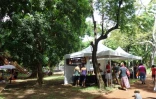 Saint-Valentin - Marché peï - Jardin de l\'Etat