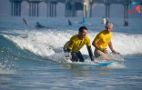 Handi surf
