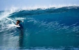Surf