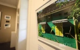 expo lambrequin au CAUE 
