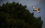 En Gironde, un peu plus de 20.000 hectares de forêts brûlés depuis une semaine