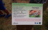 Parcours oiseaux endémiques Colorado
