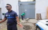 Ils tentent de capturer un singe, au Port