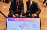 Conseil départemental