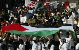 Le Collectif Réunionnais Palestine Solidarité répond à la Ligue des droits de l'Homme