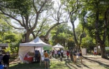 Le Département organise un marché Péi au Jardin de l'Etat