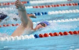 Natation 