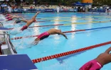 meeting natation 2015