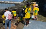 Saint-Pierre : un mouvement en faveur de l'écologie avec l'opération clean up