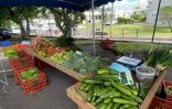 Saint-Pierre : un marché forain dédié au personnel de santé